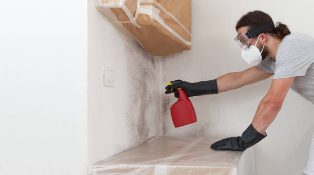 Attic Mold Remediation treatment on roof deck in Grandville