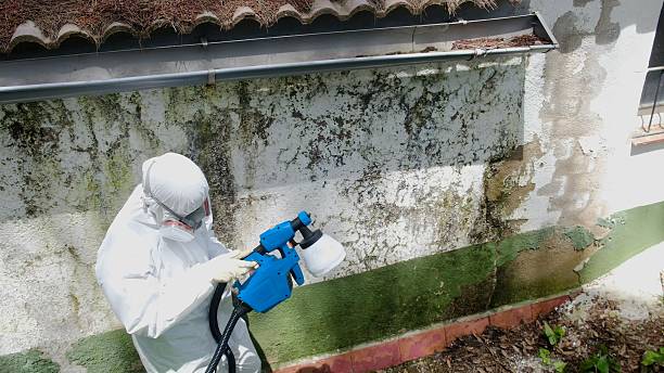 Mold Remediation service in Grandville, Grandville, MI